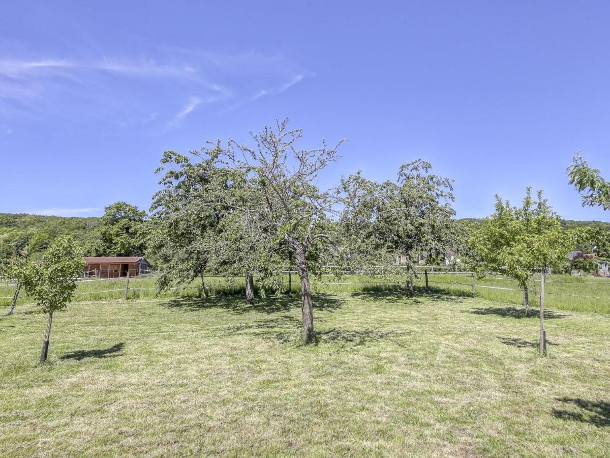 Burgundian Farmhouse In Talon With Fireplace מראה חיצוני תמונה